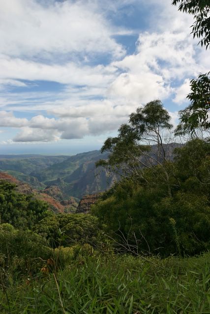 Waimea Canyon, Kauai, 18.9.2005